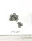 Click for 1 image(s) for this accession. FRUIT